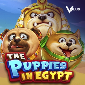 Vplus : The Puppies In Egypt - GECKO158