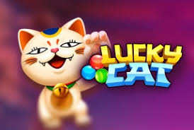 Lucky Cat - GECKO158